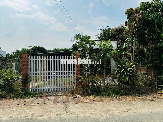 CHỦ ĐỊNH CƯ, Gửi bán lô đất 305m2 xã Thái Mỹ, Củ Chi. Giá 970 TRIỆU