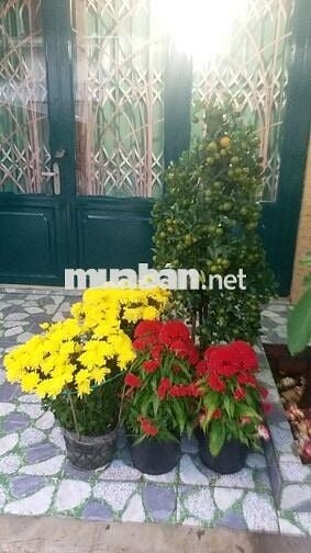 Bán đất hẻm 126 nguyễn văn tạo, Long thới, Nhà bè