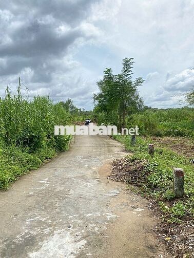💥Bán Nền Mặt Tiền Rạch Cái Tắc, Đường Tạ Thị Phi, Bình Thuỷ, TPCT