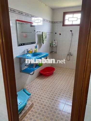 Bán nhà vườn 230 cây sầu riêng 4 năm tuổi, đường nhựa, ô tô vào tận nơ