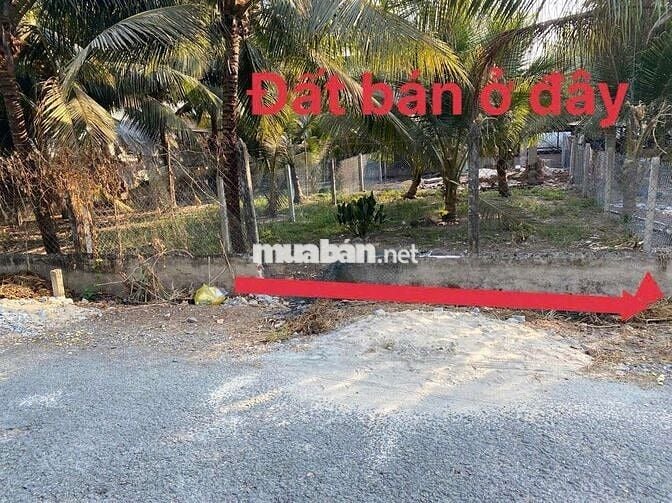 Em cần bán gấp 144m2 đường Đặng Thị Tô giá ngộp 575Tr kế Basa sổ sẵn