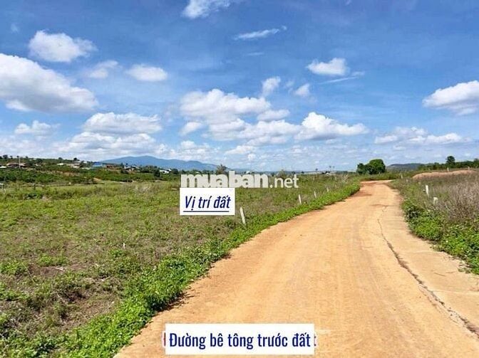 Quá rẻ cho lô đất ngang 8m, khí hậu mát mẻ, gần nhà vườn