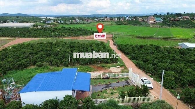 Quá rẻ cho lô đất ngang 8m, khí hậu mát mẻ, gần nhà vườn