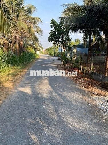 Em cần bán gấp 144m2 đường Đặng Thị Tô giá ngộp 575Tr kế Basa sổ sẵn