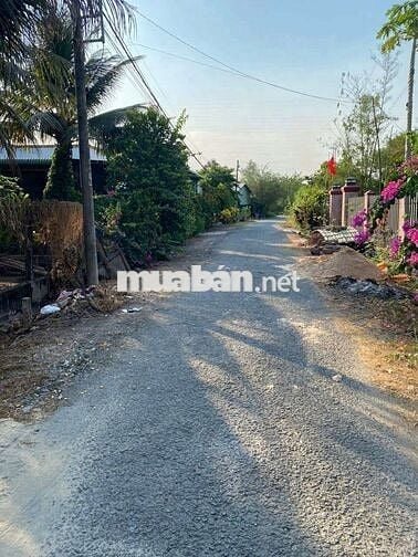 Em cần bán gấp 144m2 đường Đặng Thị Tô giá ngộp 575Tr kế Basa sổ sẵn