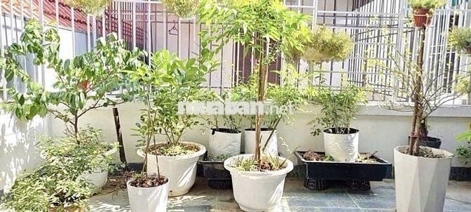 CHÍNH CHỦ CẦN BÁN GẤP NHÀ TẠI ĐỒNG MAI HÀ ĐÔNG. DT 34M2 5 TẦNG FULL