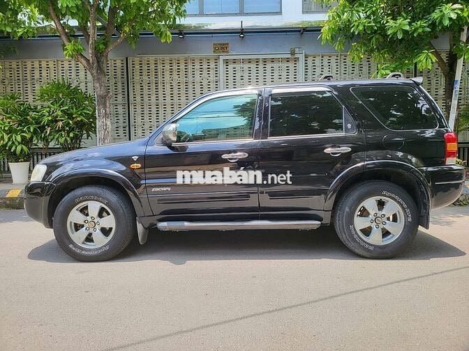 Xe gia đình gầm cao Ford Escape AT 4x4 xăng 5 chổ