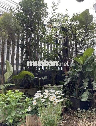 Kẹt vốn đầu tư cần bán gấp lỗ lại căn nhà hẻm Đà Lạt 100m2 giá 600tr