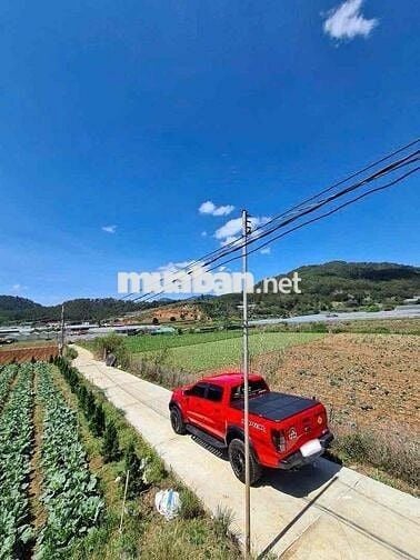 CẦN BÁN GẤP lô đất Phường 11, Đà Lạt 400m2 chỉ 890 triệu.
