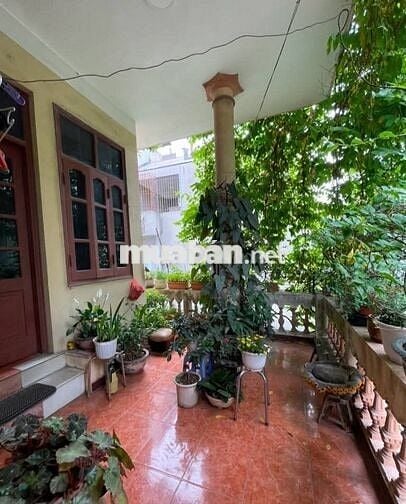 BÁN ĐẤT TẶNG NHÀ 63M*3T PHỐ LỤA Ô TÔ VÀO NHÀ  LÔ GÓC 3 MẶT THOÁNG