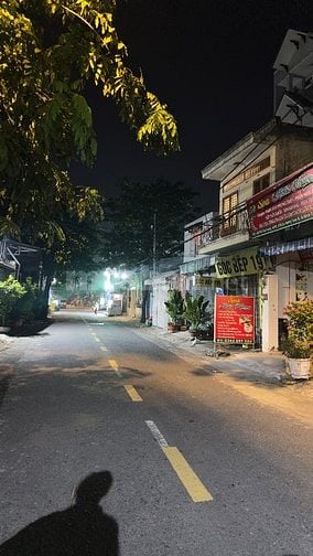 Bán Gấp Mặt tiền Kinh Doanh Đường Hồ Văn Long 