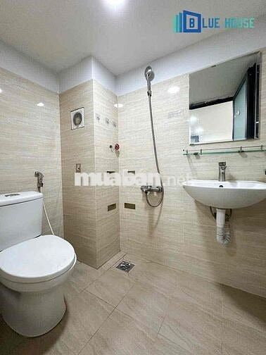 KHAI TRƯƠNG DỰ ÁN MỚI DUPLEX CỬA SỔ TRỜI NGAY CHỢ TÂN HƯƠNG, TÂN PHÚ