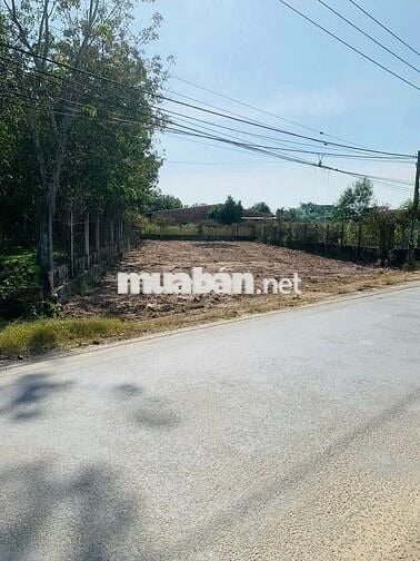 Đất lớn giá rẻ! 585m² Gia Lộc, Trảng Bàng– Sổ riêng, CHỦ BÁN 750 triệu