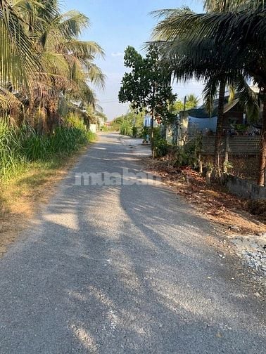 Em cần bán gấp 144m2 tại Đặng Thị Tô giá ngộp chỉ 575Tr kế Basa 