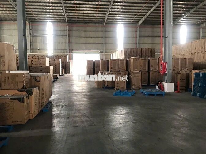Cần cho thuê gấp kho 4.500m², KCN Hải Sơn , Long An , hợp đồng lâu dài