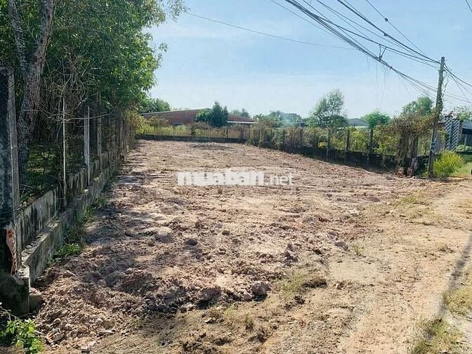 Đất lớn giá rẻ! 585m² Gia Lộc, Trảng Bàng– Sổ riêng, CHỦ BÁN 750 triệu