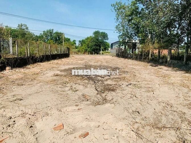 Đất lớn giá rẻ! 585m² Gia Lộc, Trảng Bàng– Sổ riêng, CHỦ BÁN 750 triệu