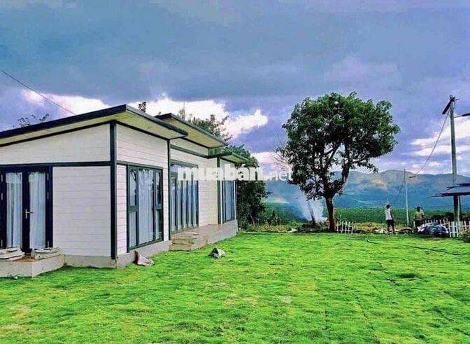 Vỡ nợ cần bán gấp lỗ lại lô 325m2 view đồi giá 490tr tặng nhà