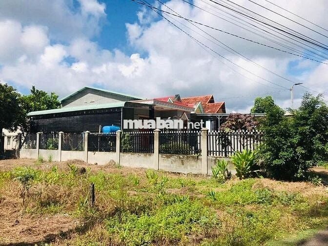 Đất rộng, cạnh KCN Trảng Bàng, 447m2 (10x44)m SHR 530tr (Giá 100%)
