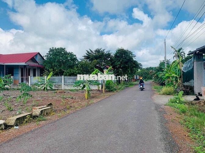 Đất rộng, cạnh KCN Trảng Bàng, 447m2 (10x44)m SHR 530tr (Giá 100%)