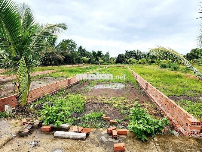 Bán đất trung tâm TX trảng bàng 340m2 giá 595tr cạnh chợ trảng bàng