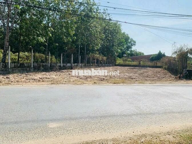 Đất lớn giá rẻ! 585m² Gia Lộc, Trảng Bàng– Sổ riêng, CHỦ BÁN 750 triệu