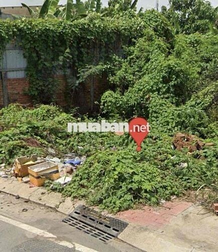 Đất to đẹp giá hạt dẻ dt 81,5m2 giá 867tr Bình Chánh