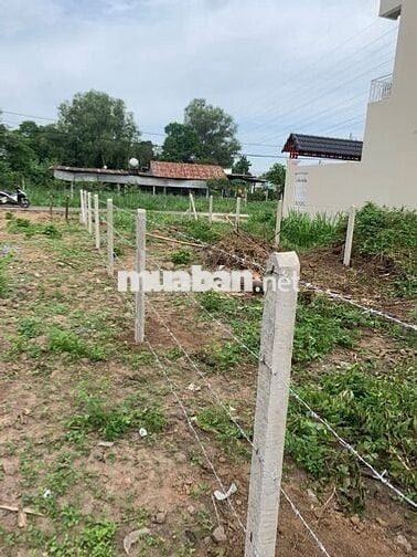 CHỈ 360TR SỞ HỮU NGAY LÔ ĐẤT MT ĐƯỜNG 6M 105M2 SHR CẦN BÁN NHANH
