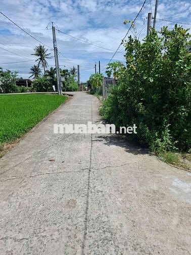 725m2 Full Thổ 1,35 tỷ. Nền cao. Khu dân xung quanh. Cách nhựa 50m