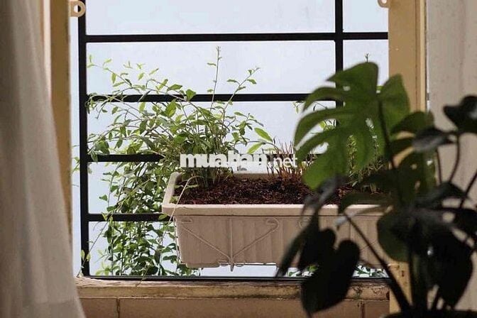 🔥CHDV Quận 1_Decor Xinh_1PN Balcony_Full NT _Đi Bộ Qua UEH (ISB)