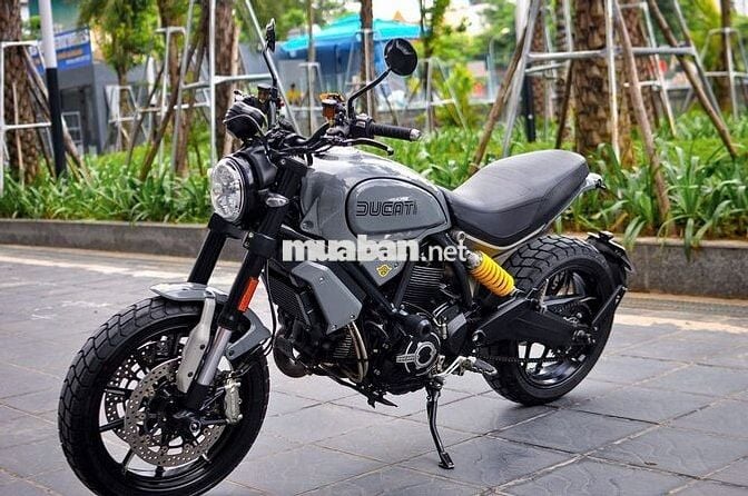 Thanh Motor cần bán Ducati Scrambler1100 Base 2019