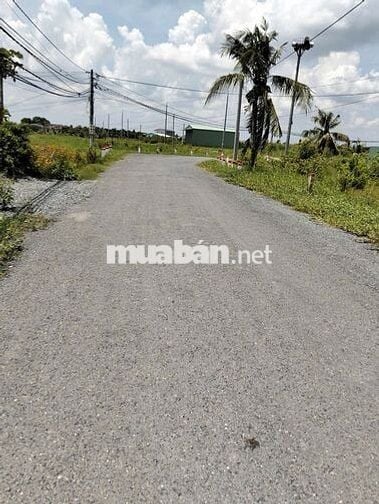 Bán Đất tại Nguyễn Văn Mỹ, Tân Trụ, Long An, giá 780 triệu, 178.6m2