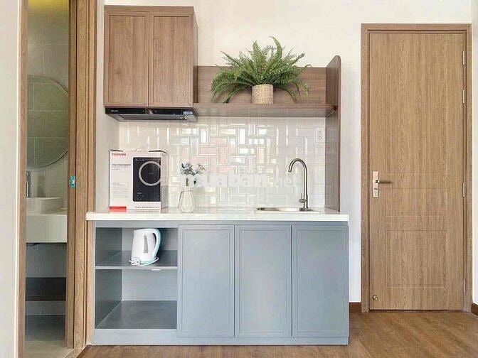 Chuyên CH/CC mini 1PN/duplex/studio khu vực Tân Bình giá cực ưu đãi