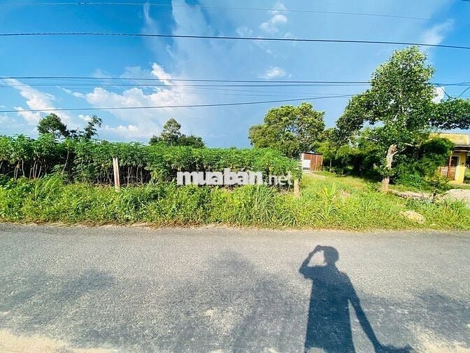 ĐẤT ĐẸP GIÁ RẺ – ẤP PHƯỚC ĐÔNG, PHƯỚC THẠNH, TÂY NINH