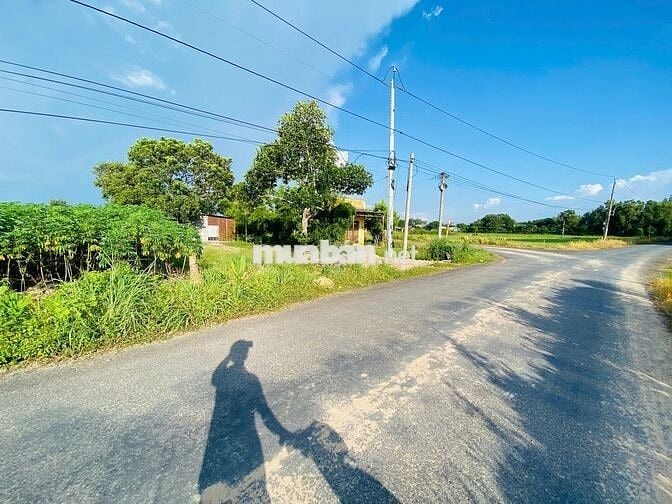 ĐẤT ĐẸP GIÁ RẺ – ẤP PHƯỚC ĐÔNG, PHƯỚC THẠNH, TÂY NINH