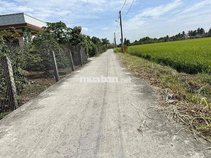 230 Triệu hơn 100m2 Thổ Cư. Sổ Sẵn. đoạn Gần Bến Lức
