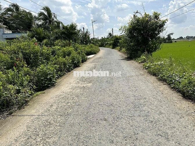 10x22 thổ cư Giá 560 triệu. Nền Cao. gần ngã tư Lạc Tấn đường xe Tải