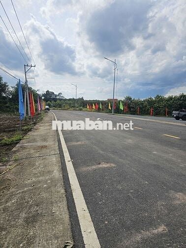 Đất giá rẻ 250m2 gần cao tốc , đường nhựa liên xã 8m ,chợ Minh Lập 2km