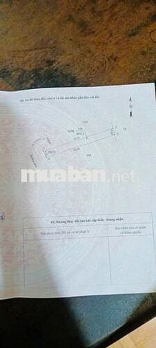 ĐẤT ĐẸP GIÁ RẺ – ẤP PHƯỚC ĐÔNG, PHƯỚC THẠNH, TÂY NINH