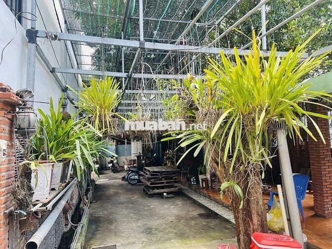DT LỚN GIÁ RẺ HXH CẤP4 LÊ TRỌNG TẤN BHH BÌNH TÂN 96m²(3.8m x 25.5)4,2T