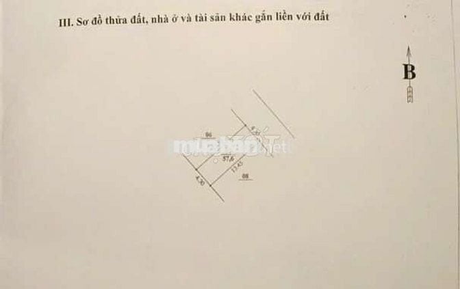 NHÀ ĐẸP - Đ. TRẦN PHÚ - KINH DOANH - 57m2 - 4 Tầng - HIẾM CÓ