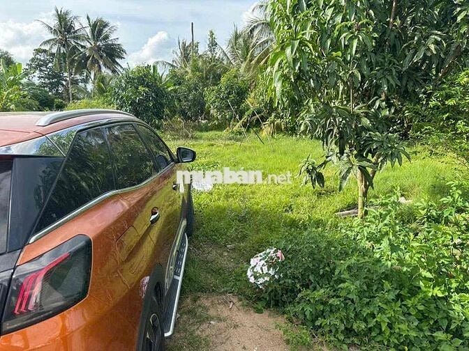 🌈🌈 QUÁ RẺ-6,5x33m Đường Nguyễn Văn Ánh(cách uỷ ban Bình Trinh 300m)