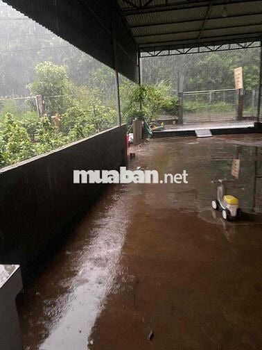 cần bán nhà mặt tiền đường lạc sơn quang trung xã gia kiệm