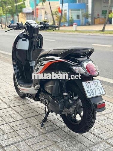 Scoopy máy zin biển 67