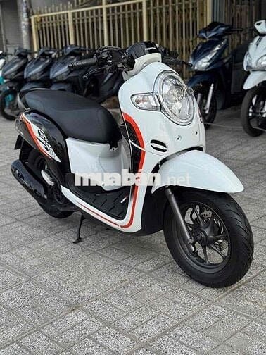 Scoopy máy zin biển 67