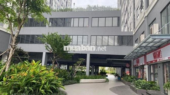 giá thuê intela 6tr: 1ml 1 máy nước nóng, 6,5tr giường, tủ, sopha, 1ml