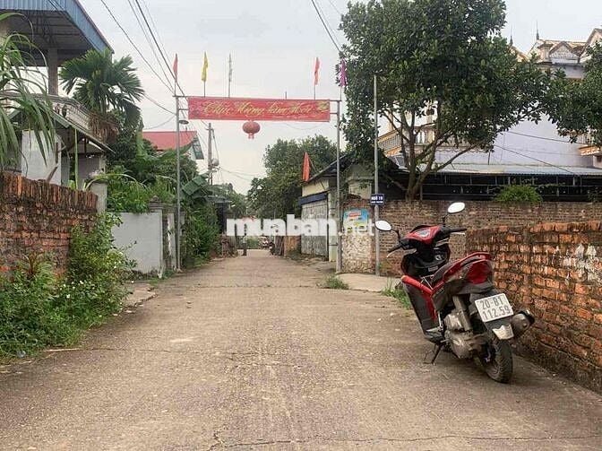 Bán Đất – Phú Cường (Minh Phú - SS)- 458m²- Ngần 11T/1m2-Full TC – Lô