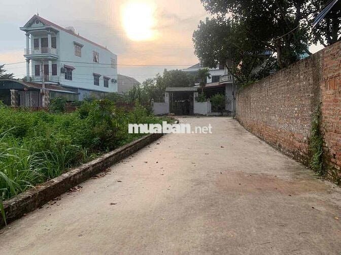 Bán Đất – Phú Cường (Minh Phú - SS)- 458m²- Ngần 11T/1m2-Full TC – Lô