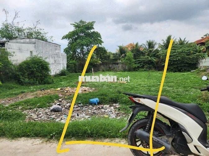 299 m2 ĐẤT VƯỜN BAO THỔ ĐƯỜNG BÊ TÔNG 6m ĐỨC HÒA TT 600 TRIỆU