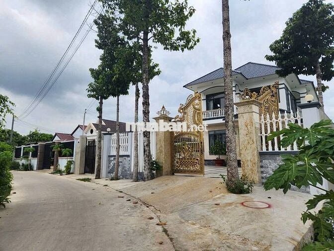 299 m2 ĐẤT VƯỜN BAO THỔ ĐƯỜNG BÊ TÔNG 6m ĐỨC HÒA TT 600 TRIỆU